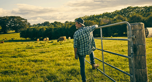 Imprese Agricole
